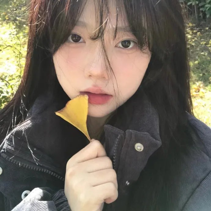 去年圣诞